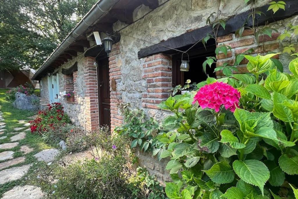 Los Acebos De Pena Cabarga, Cupula Experiencias Sobremazas Zewnętrze zdjęcie